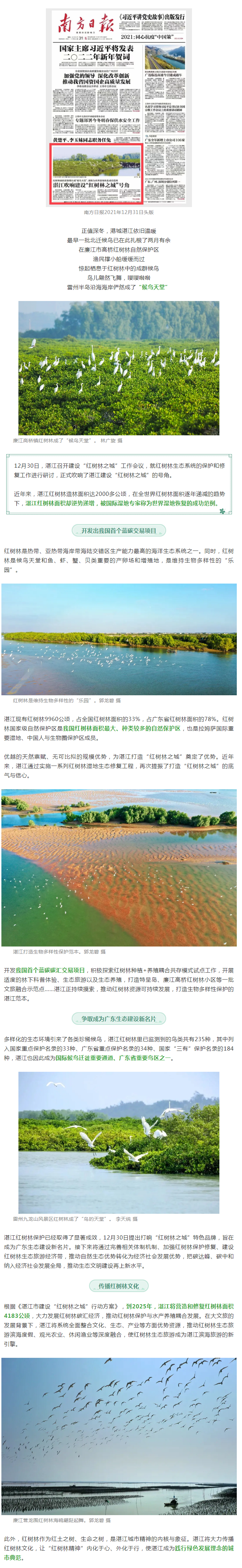 世界濕地恢復成功范例&hellip;&hellip;南方日報頭版重磅聚焦湛江！.png