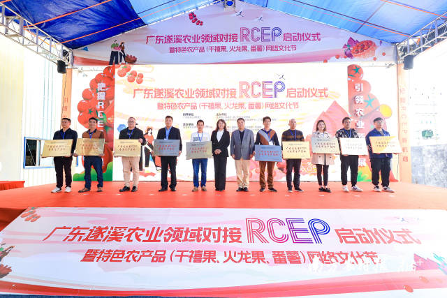 10個(gè)千禧果、番薯、火龍果、香蕉種植基地被授予“RECP生產(chǎn)基地”  南方農(nóng)村報(bào) 吳秒衡 拍攝