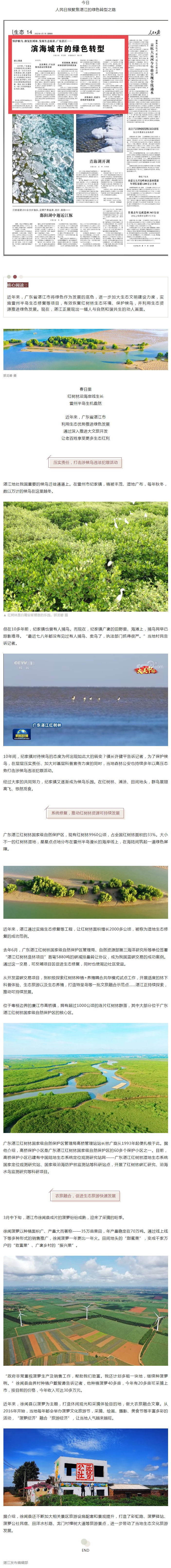 人民日報頭條聚焦湛江：濱海城市的綠色轉(zhuǎn)型！.png