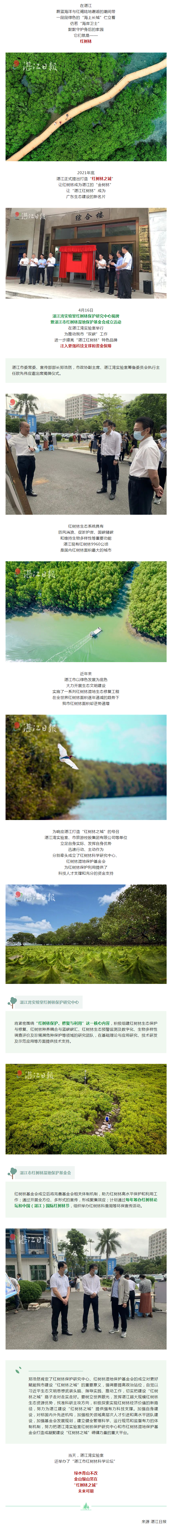 湛江紅樹林之城，插上騰飛的雙翼！.png