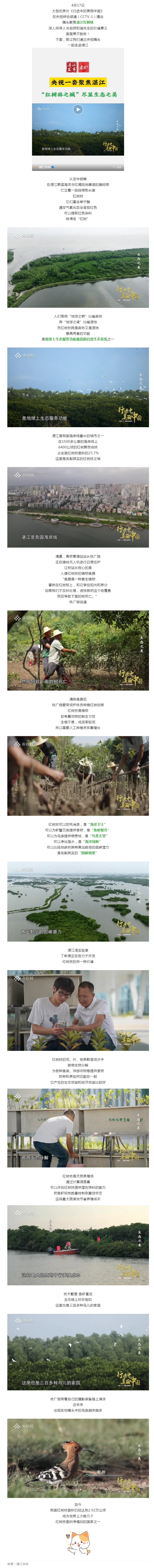超8分鐘！CCTV-1重磅聚焦湛江“固碳明星”....._.png
