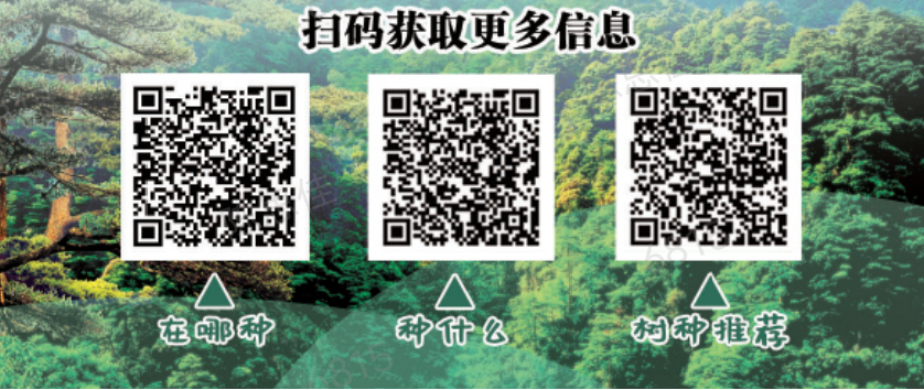 “有喜事來種樹，建設(shè)綠美遂溪”倡議書1.png