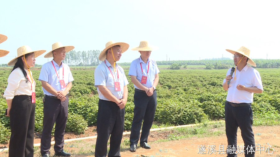 已編輯圖片