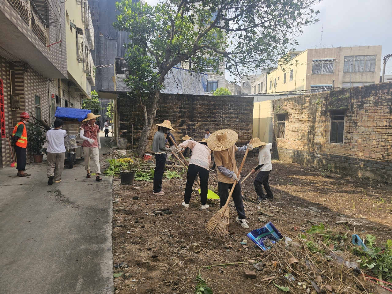 洋青鎮(zhèn)人大：人大代表積極參與愛國衛(wèi)生運動 全力筑牢蚊媒傳染病防控屏障