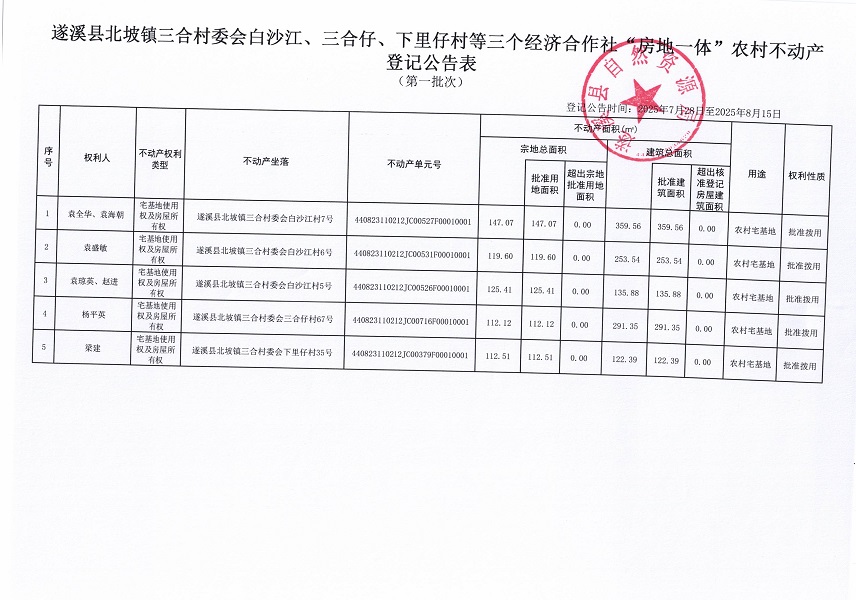 （未核先掛）北坡鎮(zhèn)三合村委會白沙江、三合仔、下里仔村等三個經(jīng)濟(jì)合作社不動產(chǎn)登記公告（第一批次）（歷史遺留問題）_頁面_2.jpg