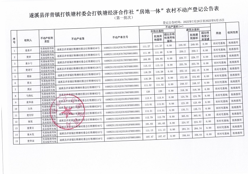 洋青鎮(zhèn)打鐵塘村委會(huì)打鐵塘經(jīng)濟(jì)合作社不動(dòng)產(chǎn)登記公告（第一批次）（歷史遺留問題）_頁面_2.jpg