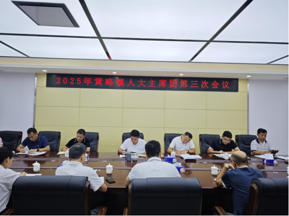 黃略鎮(zhèn)人大主席團(tuán)召開(kāi)第三次會(huì)議