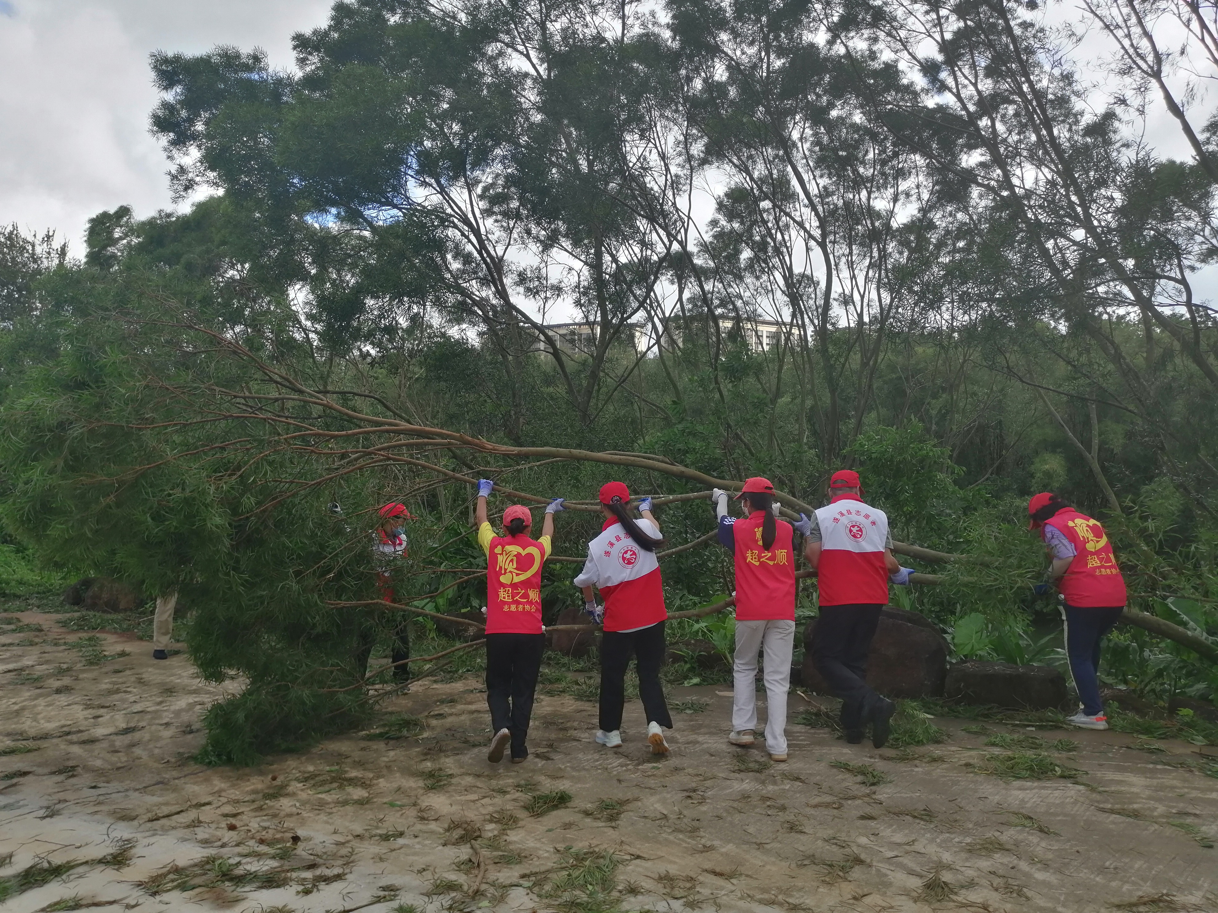 志愿者協助清理孔子文化城落木殘枝.jpg