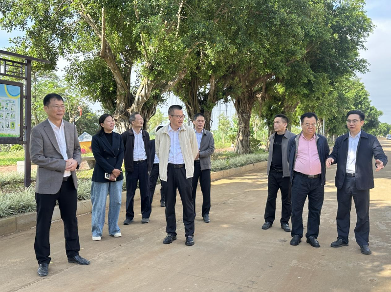 市政協(xié)副主席楊文光率隊到遂溪縣指導(dǎo)“百千萬工程”工作