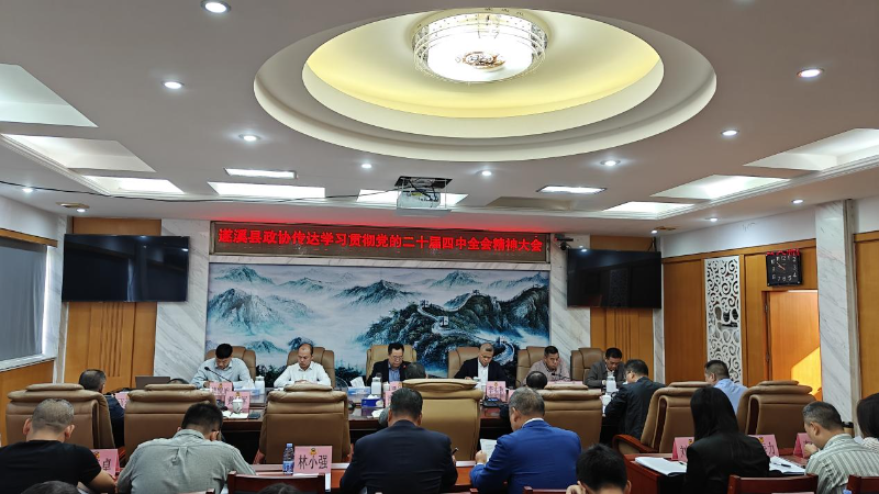 遂溪縣政協(xié)學(xué)習(xí)貫徹黨的二十屆四中全會精神暨AI賦能履職培訓(xùn)會順利舉行